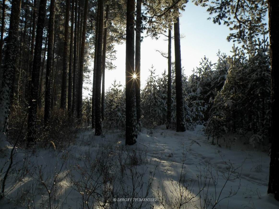 �� ������ �������