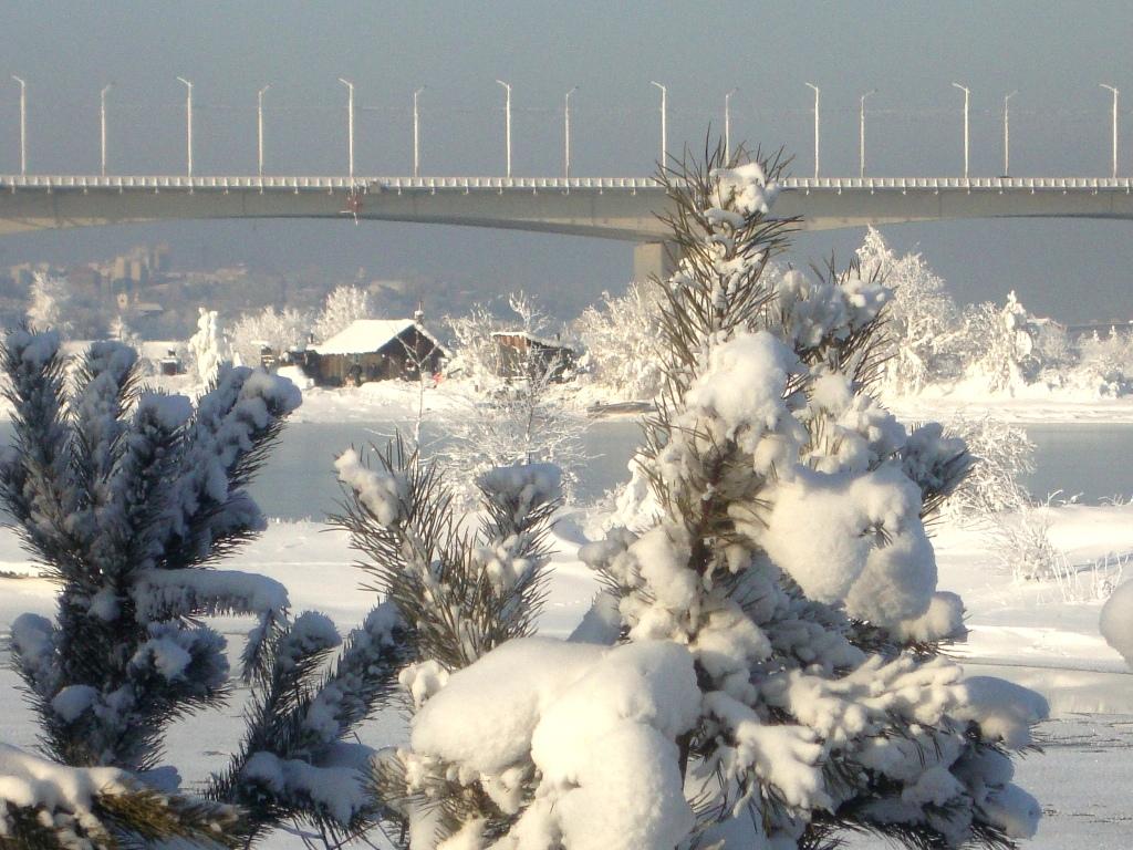 ������ ��� ����