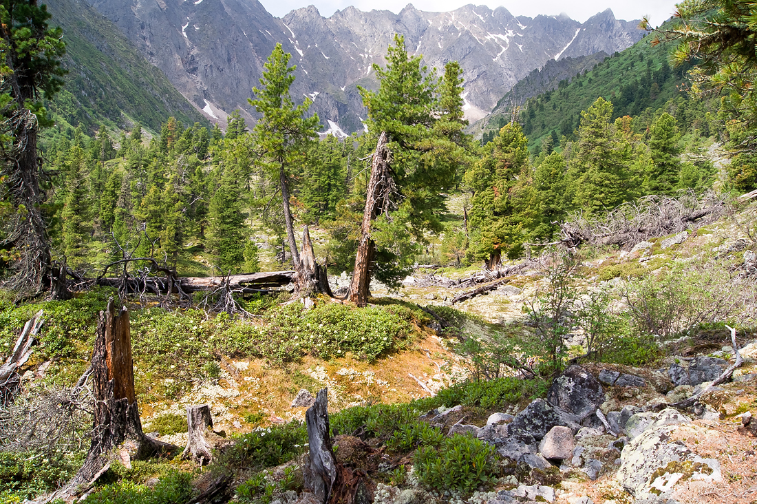 ��������� ���