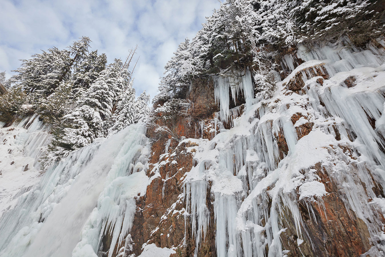 ������ �������