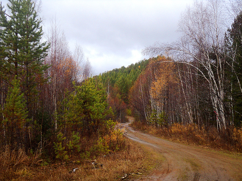 ����� �� ����