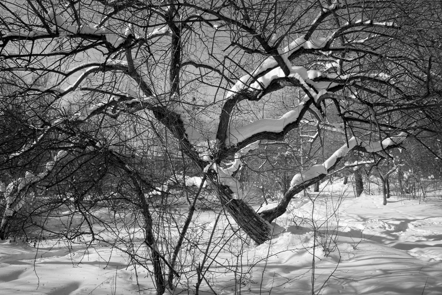 ������ � �����