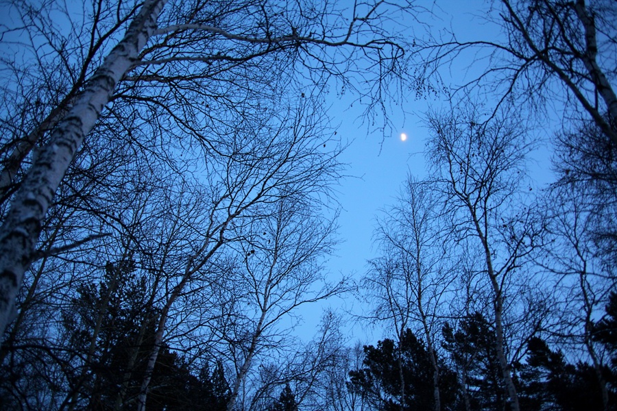 ������ �����