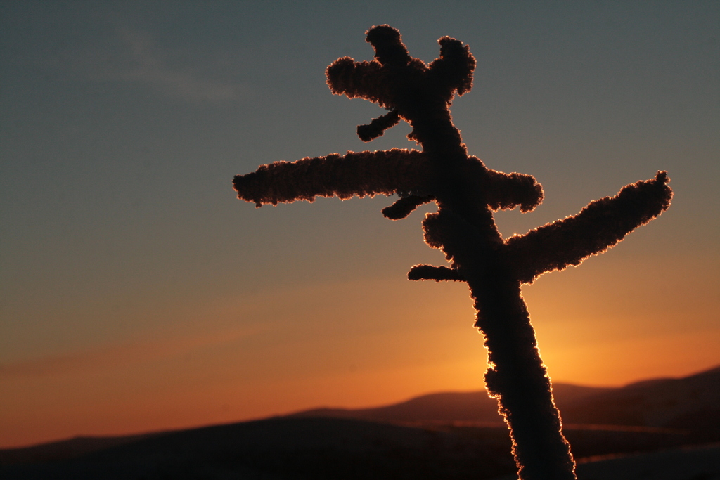 �������.