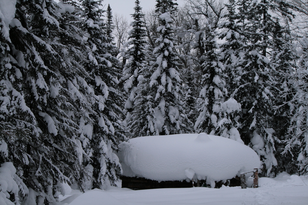 ����������.