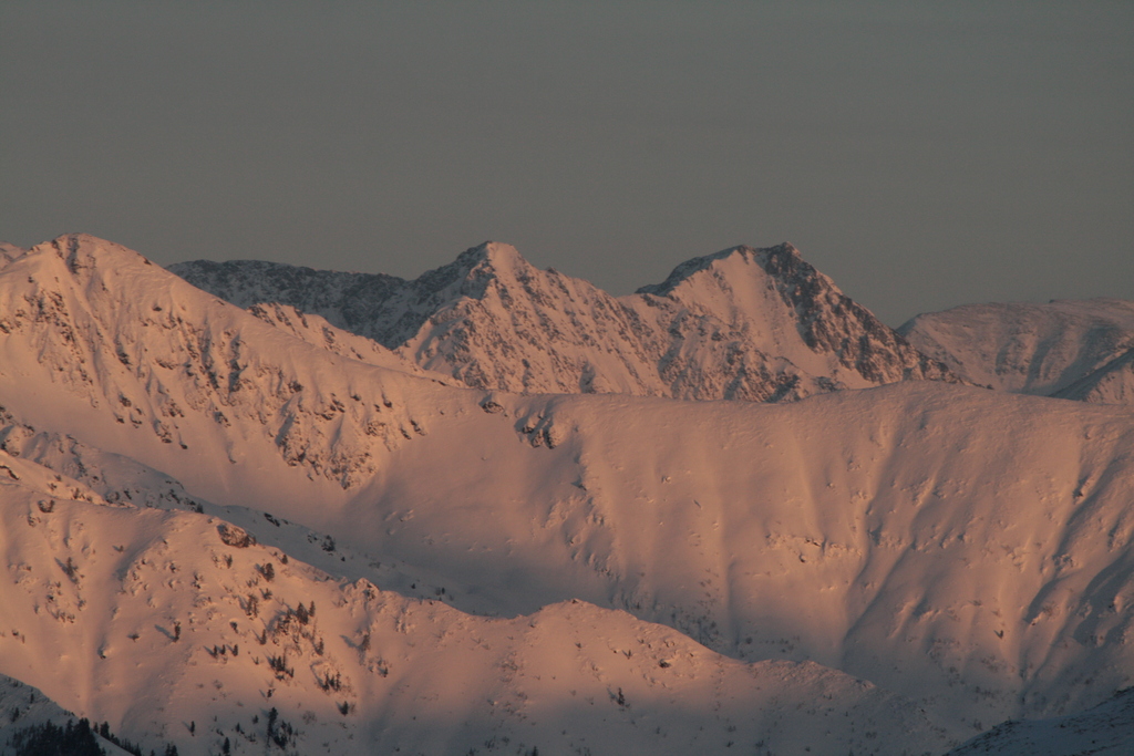 ���������� ���������� ����.