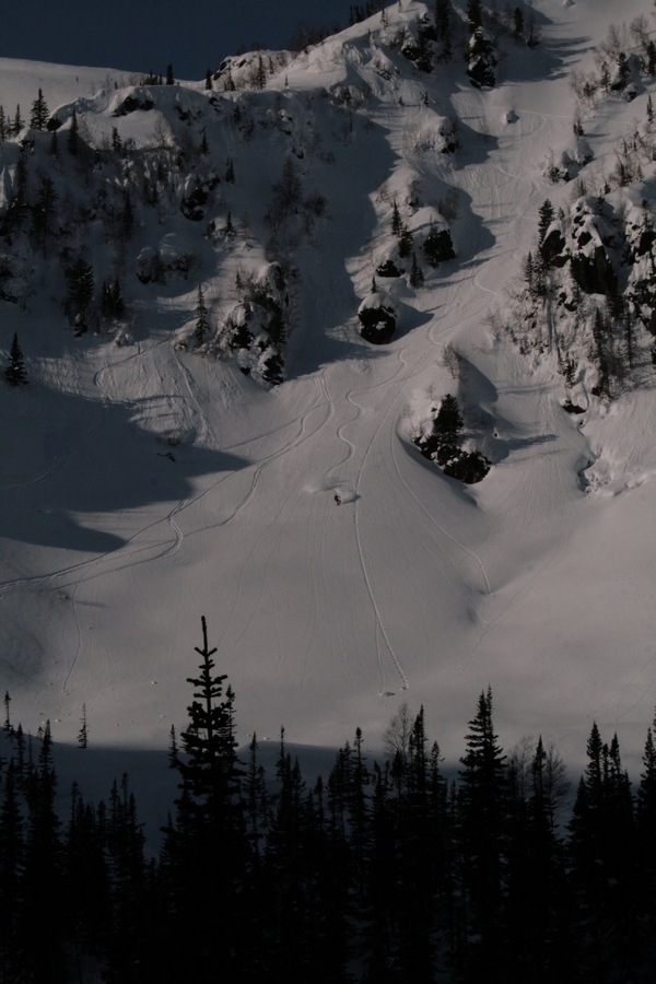 ����������. ��������� ����.