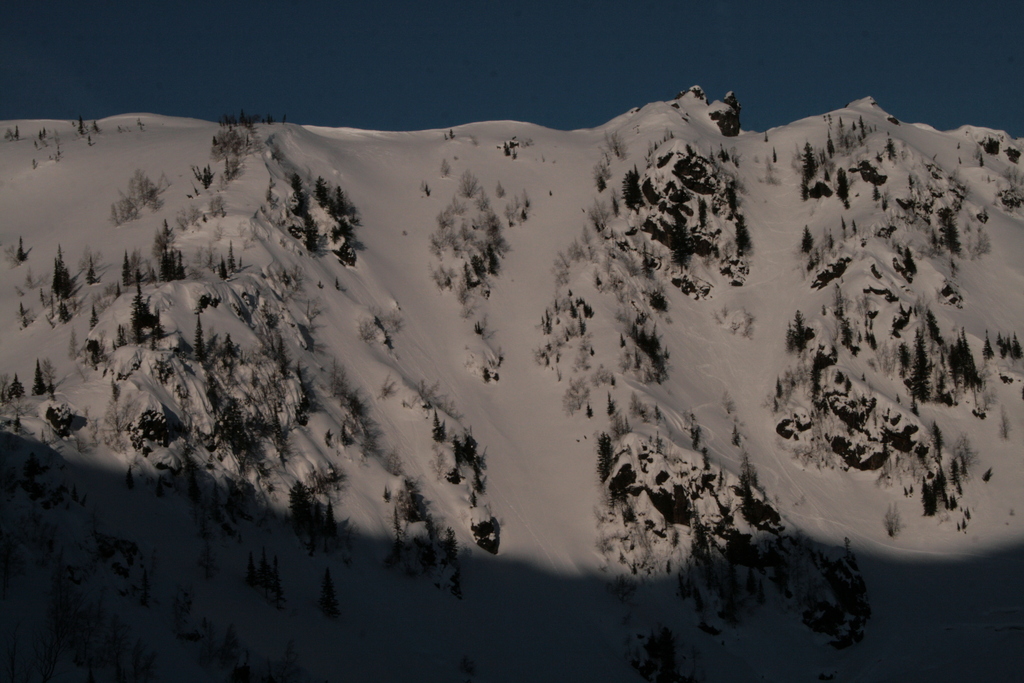 ���� ������� ������. ��������� �����.