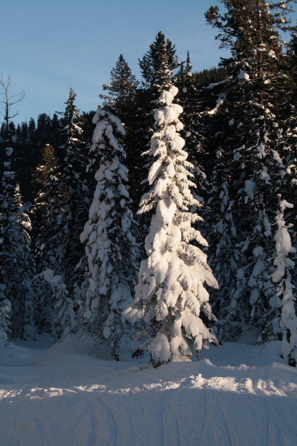 ������������.