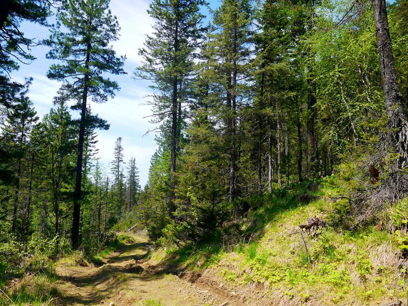 �� �����