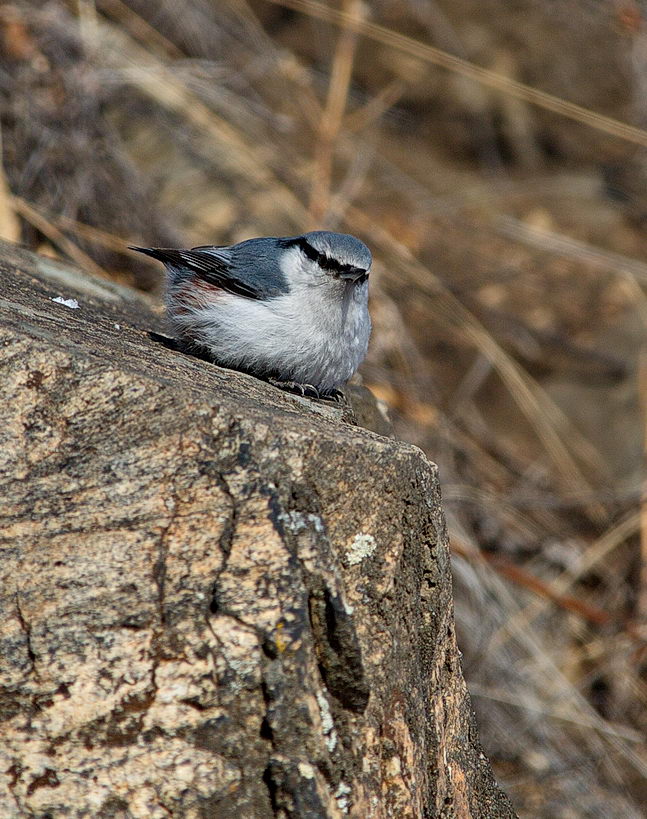 ������ ����...