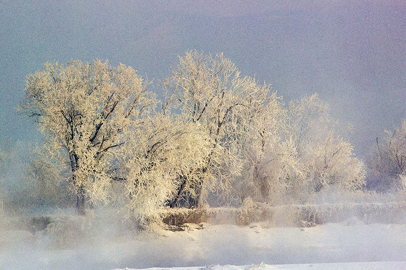 - 33 ,  