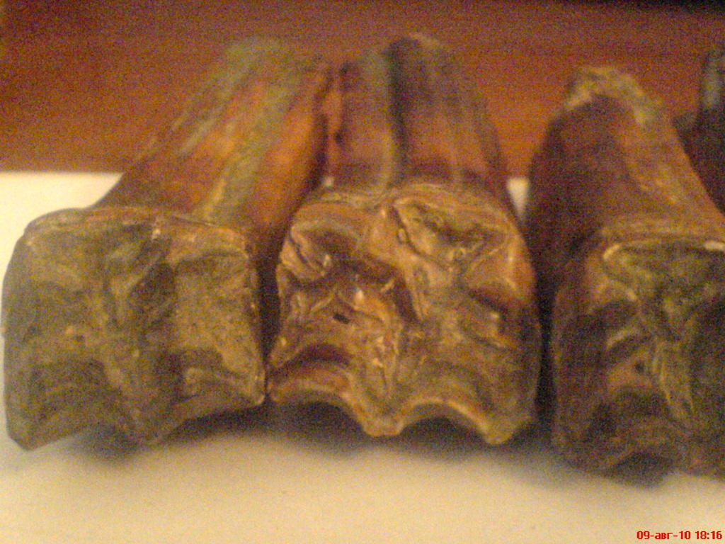 ���� ������������ ���������