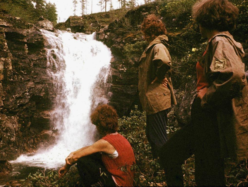 ������� ������� �� �������