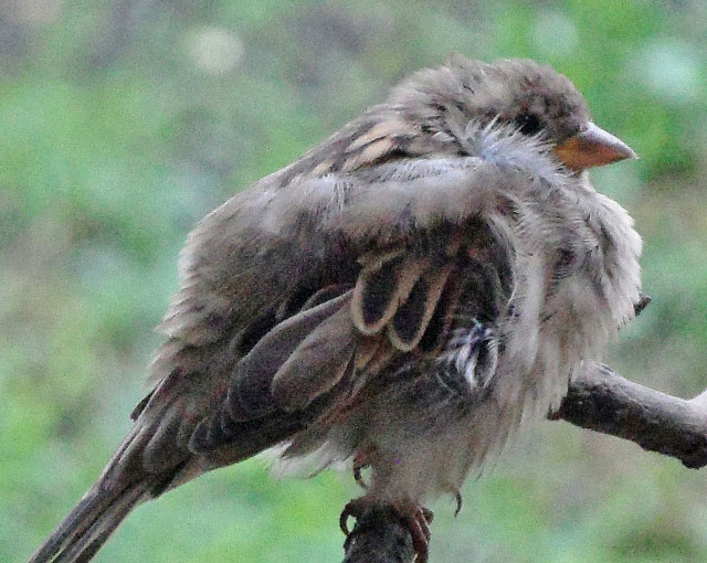 �������