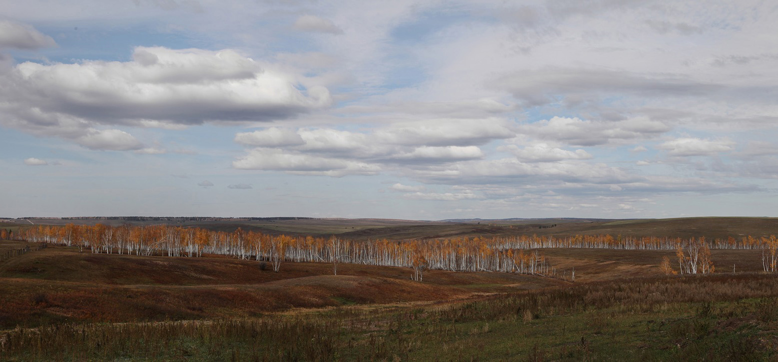 ������ ����...