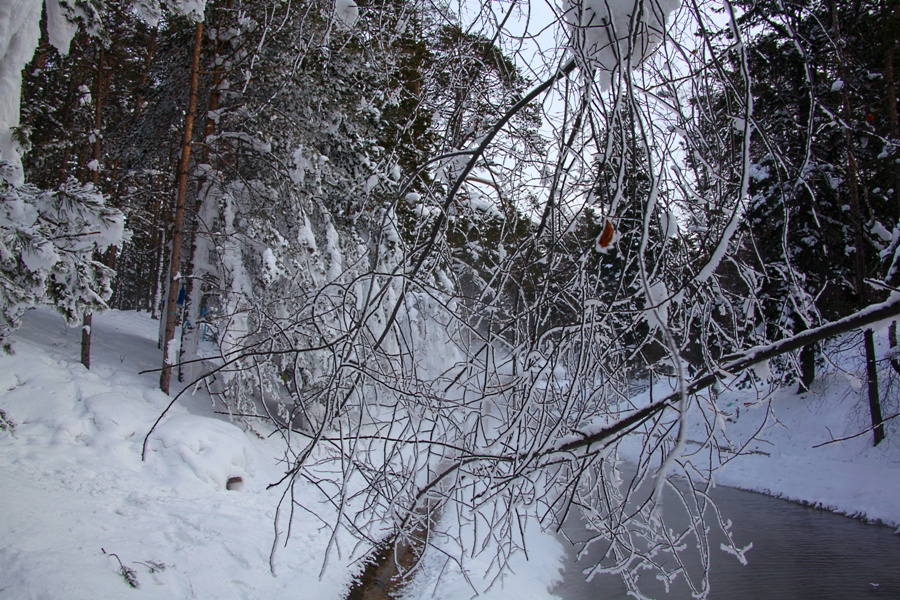 ������ ����