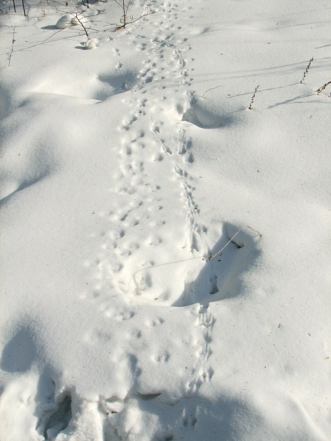 � ���� �� �������� �������� �����