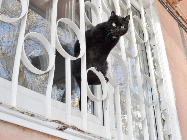 ��� ������ ����� ��...