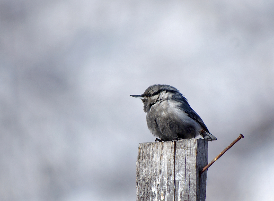 �������� �� ������