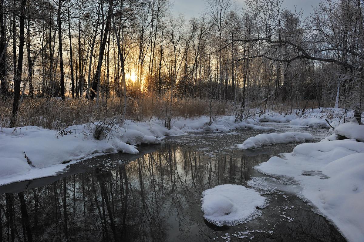 ������ �����