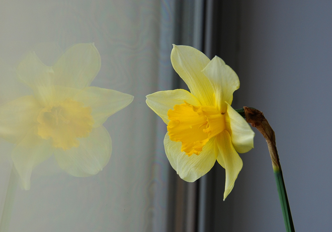 ������ �����?