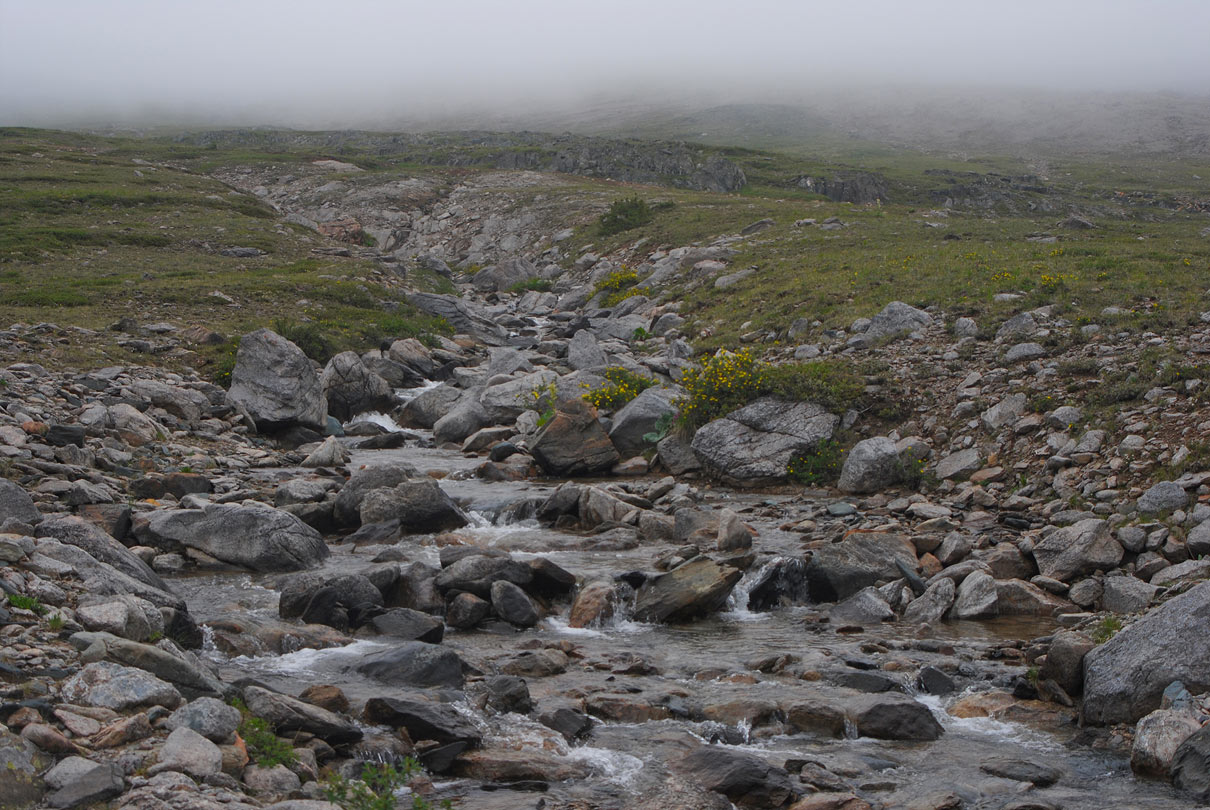 � ������ �� ��...