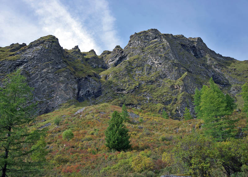 "����� �������� �����"