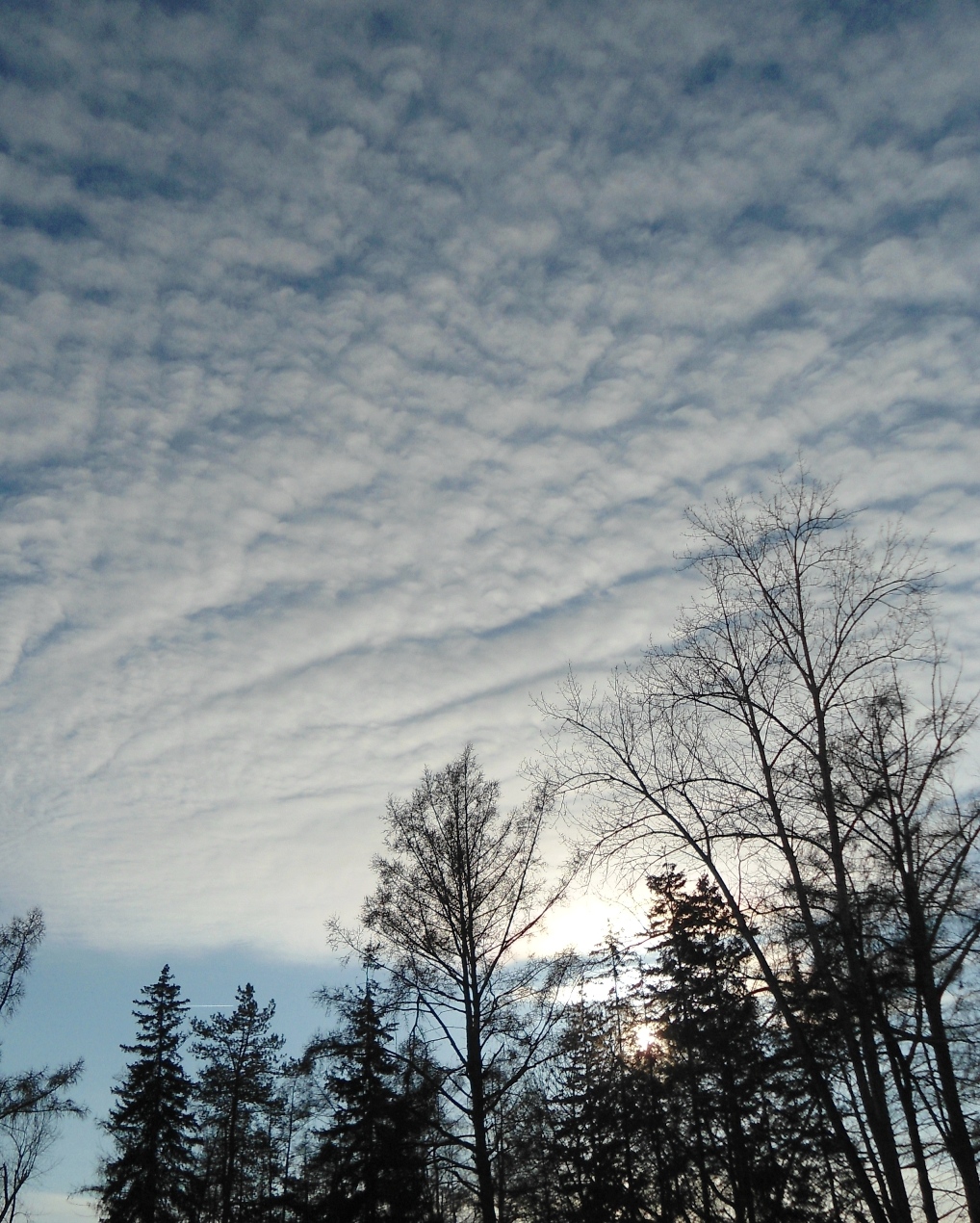  Cirrocumulus