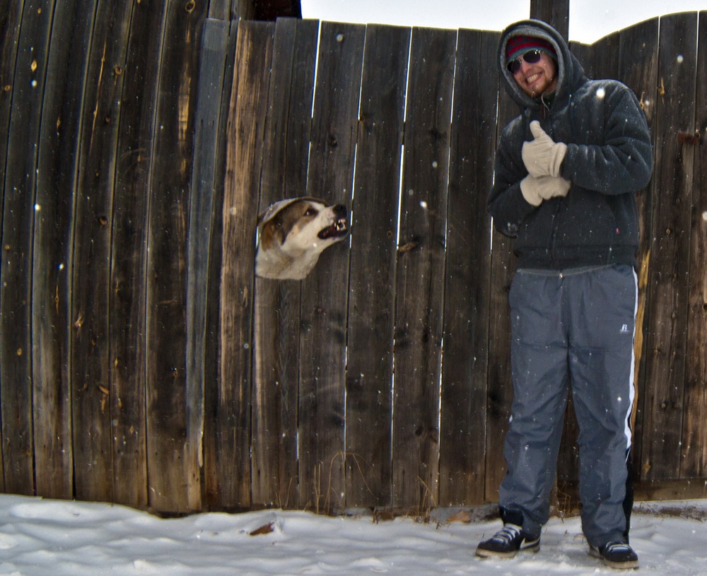 ��������