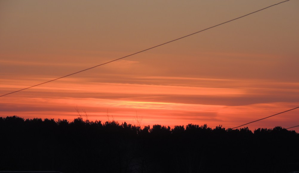 , , 20:15 ( .)