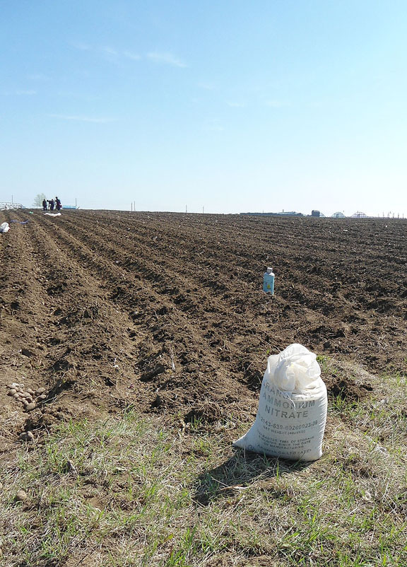 ��������� ��������� ��������