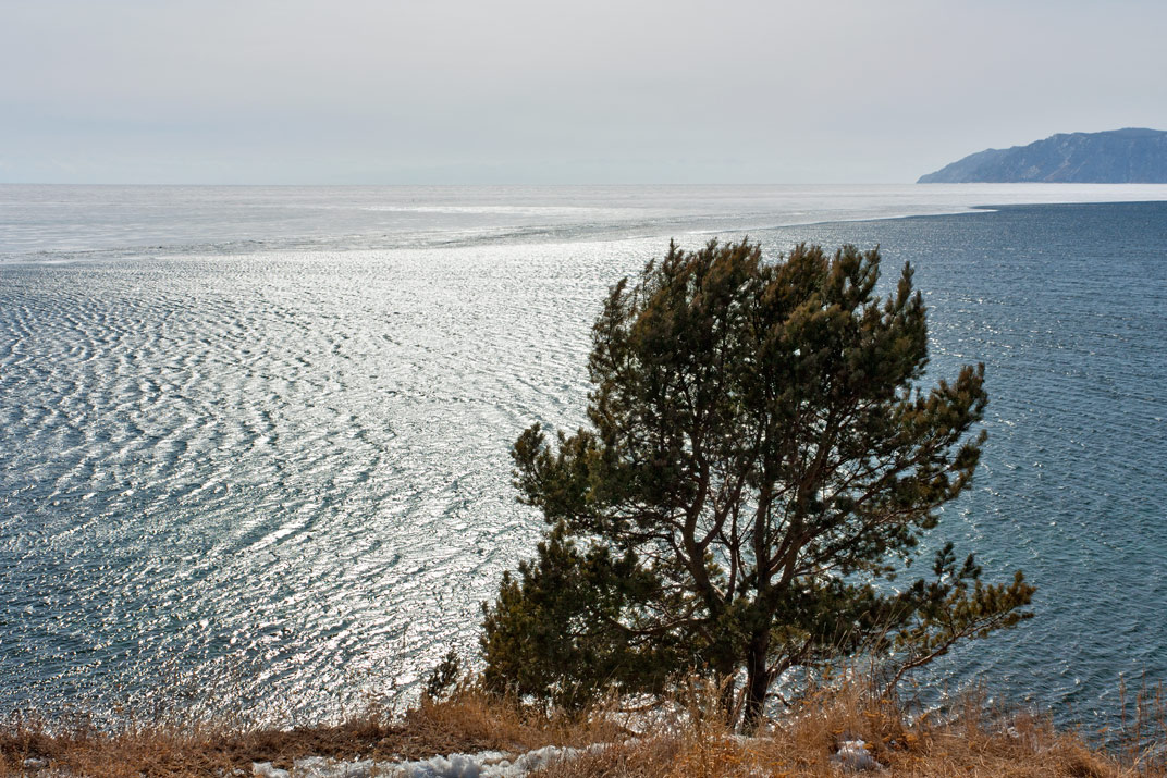 ����������� �����