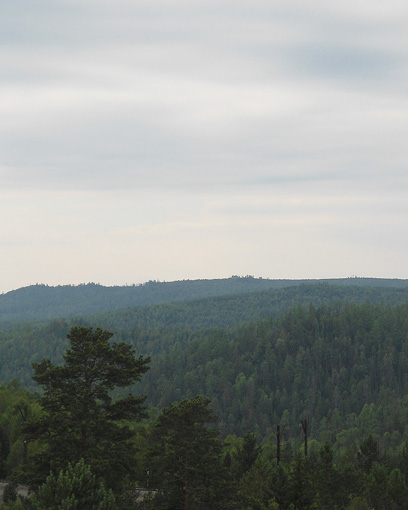 � ������ ��������