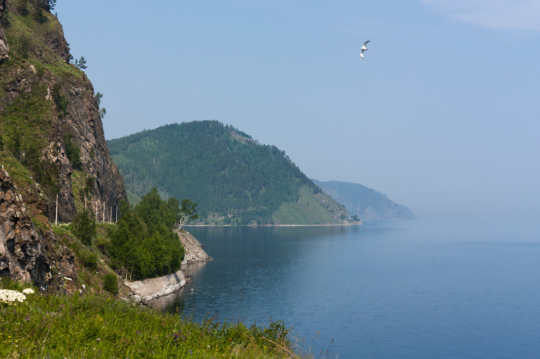 ������ �������. �������������