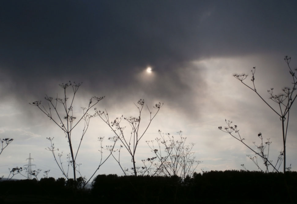 �������...