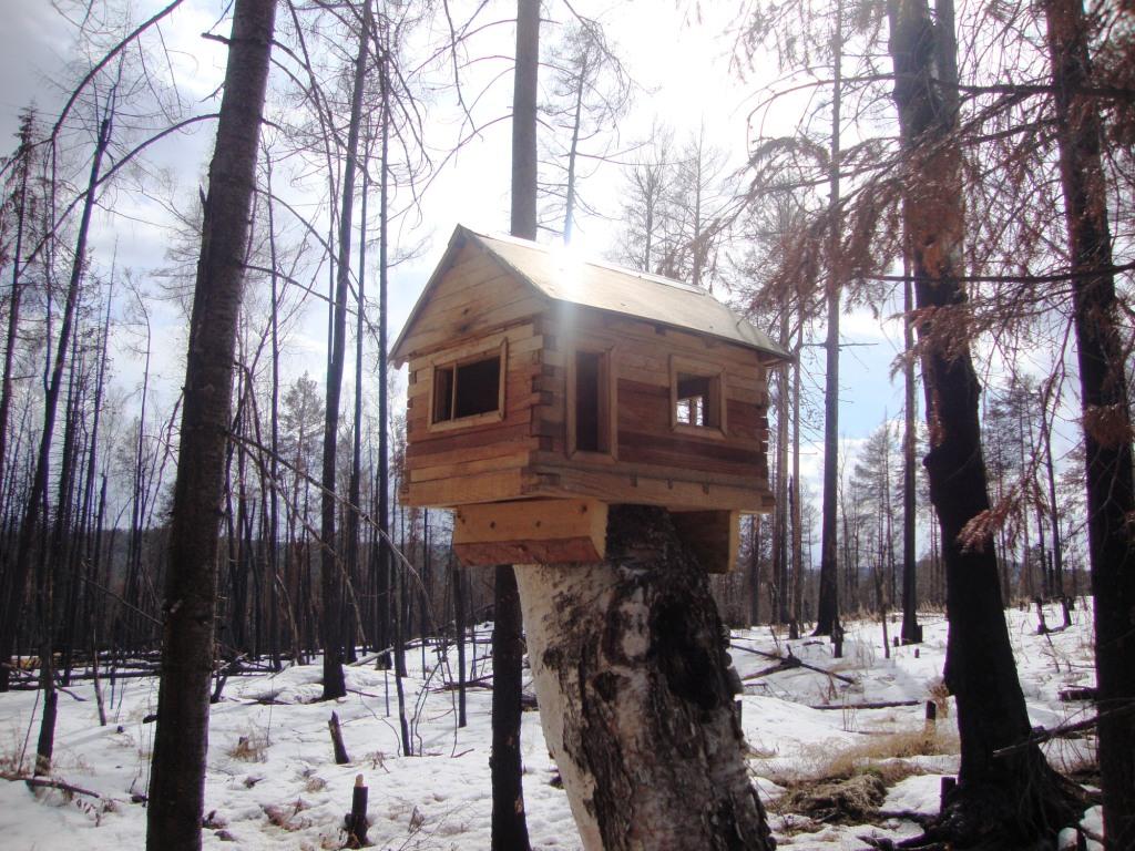 �������, �������, ��� � ������ ����?