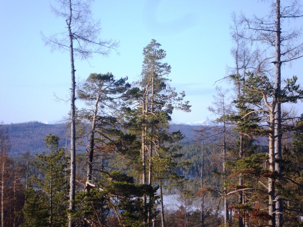 ������ ������ 3