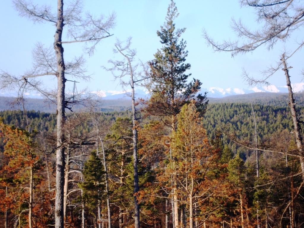 ������ ������ 5