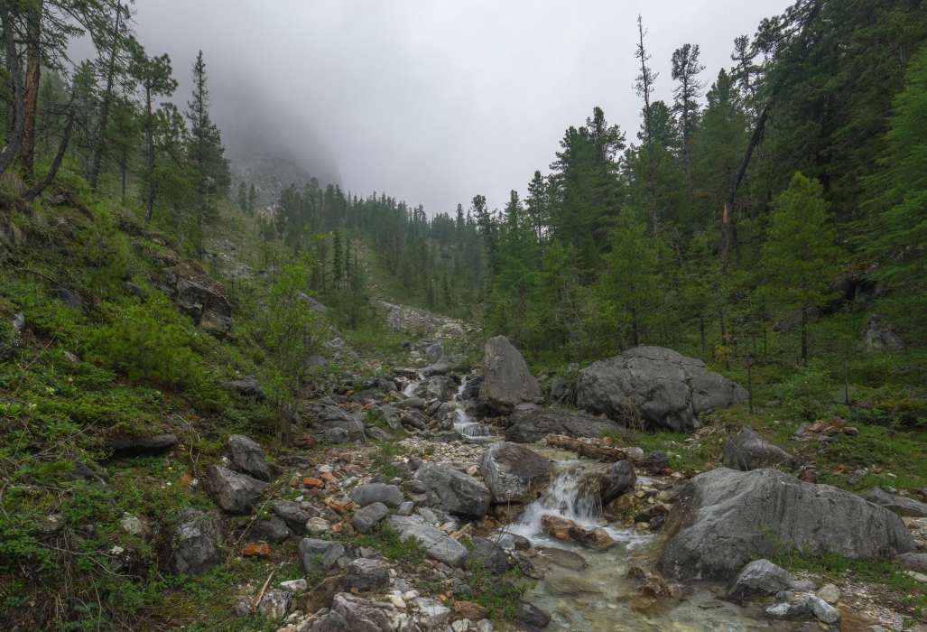 �� ������� ��������