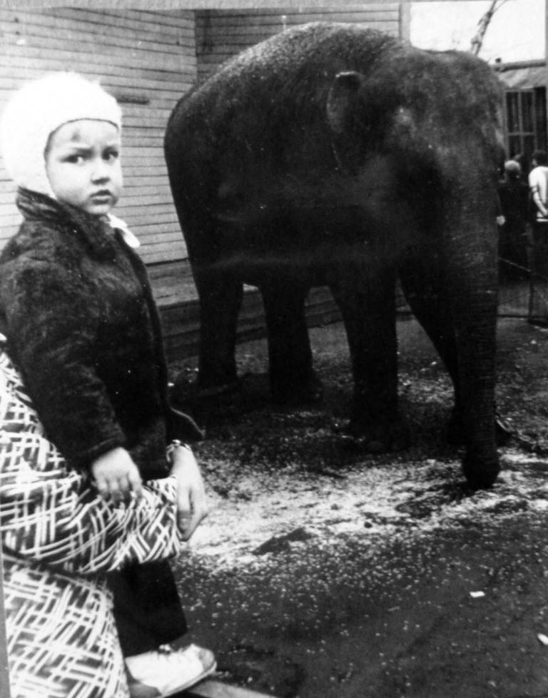 ���� � ���� �������� �� ���������.