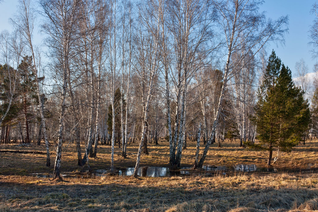 ���������� ��������