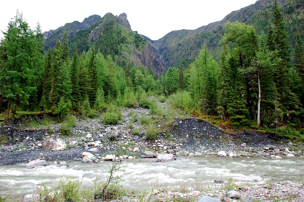 ��� �������� ���� ��������� � ������� �� ������