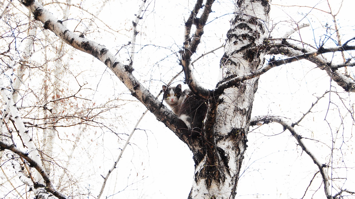 ��� �� �����?