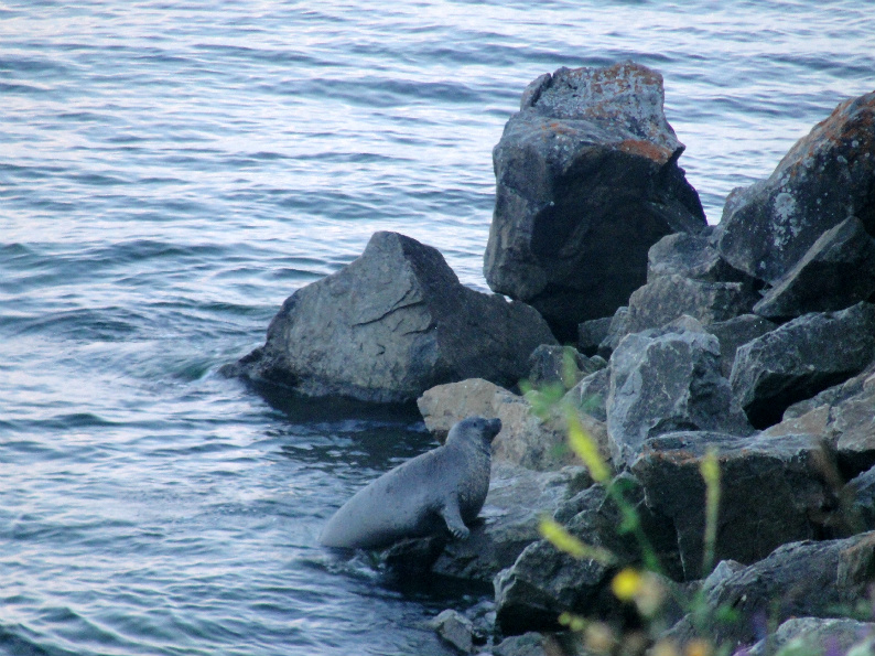 ������ ���� ������ �����