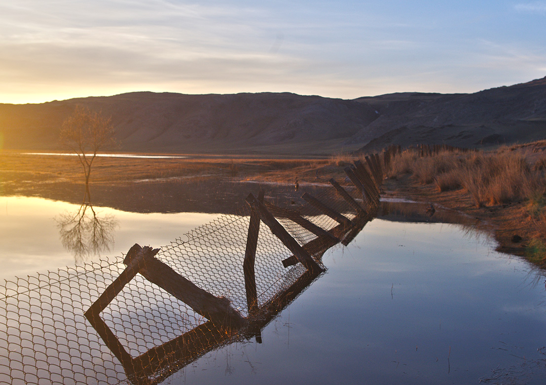 ���� ���������