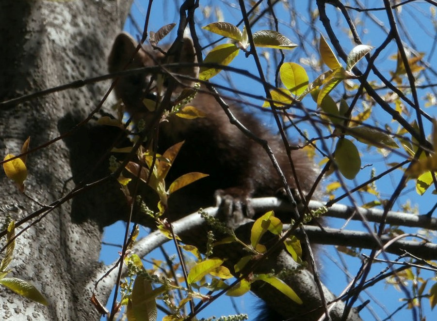 ������� ��� ���������? 2