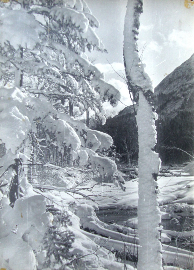 �� ���������� �����