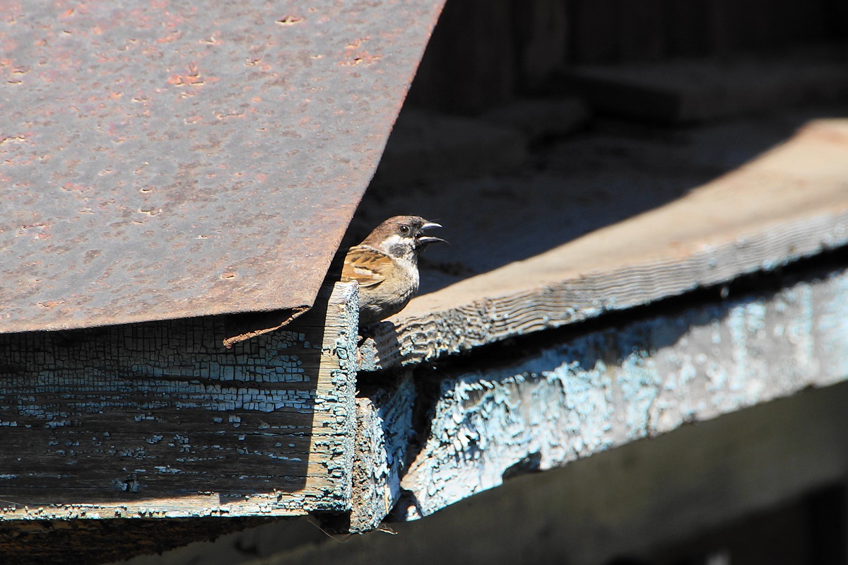 ���� ������?