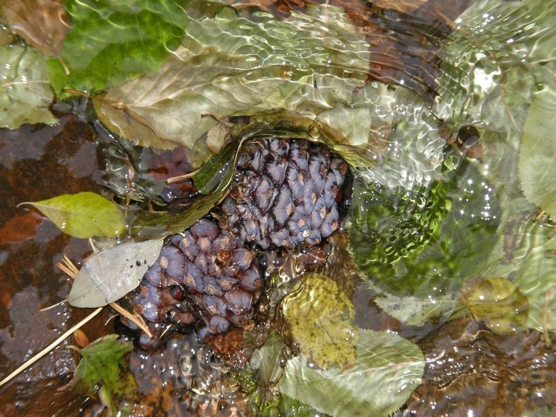 �������